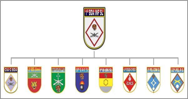 brigada infantaria selva soberania nacional fig02
